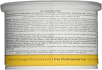 GiGi All Purpose Honee Wax 14 oz (Pack of 2) — image 2