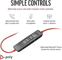 Poly Blackwire 3320 USB-C Wired Headset — image 3