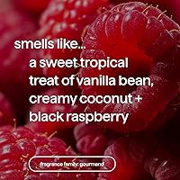 Method Premium Foaming Hand Wash Refill Vanilla + Raspberry 28oz (Pack of 4) — image 3