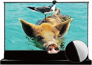 VIVIDSTORM VSDSTUST120H Motorized Floor Rising Projector Screen Review