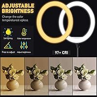 Hagibis 21-inch Ring Light with Stand — image 3