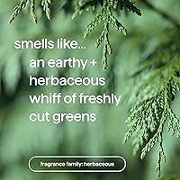 Method Men 2-in-1 Shampoo + Conditioner, Juniper + Sage, 14 oz (6-Pack) — image 3