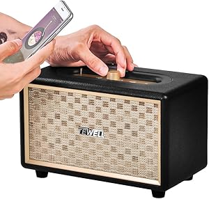 TEWELL M1A-BK Home Speaker Review