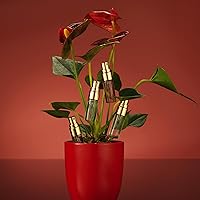 Lovery Christmas Perfume Sampler 12pc Fragrance Set 3mL — image 3