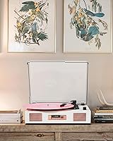 DANFI AUDIO DF TE-2017 Vinyl Record Player — image 7