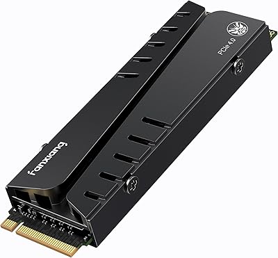 fanxiang S770 1TB NVMe M.2 SSD