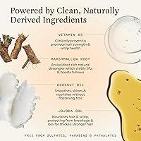 The Earthling Co. Shampoo & Conditioner Bar Set – Wild Lavender — image 4