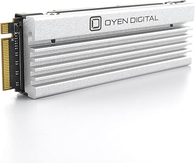 Oyen Digital Dash Pro 4TB NVMe SSD for PS5