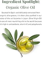 DHC Olive Virgin Oil Facial Moisturizer 1.16oz — image 3