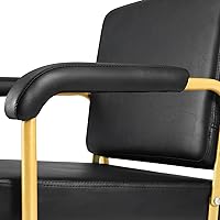 Artist Hand Gold Reclining Shampoo Chair — image 8