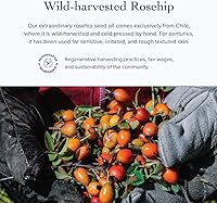 evanhealy Wild Carrot Immortelle Eye Balm 0.5oz — image 6