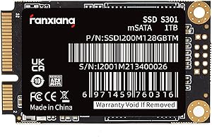 Fanxiang S301 1TB mSATA SSD