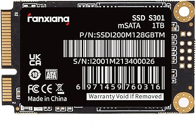 Fanxiang S301 1TB mSATA SSD
