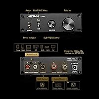 AIYIMA A3001 Mini Mono Amp 300W Subwoofer Amplifier — image 2