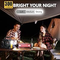 Philophca 350W Portable Power Supply Inverter — image 5