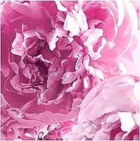 Jo Malone Peony & Blush Suede Body Crème 175mL — image 5