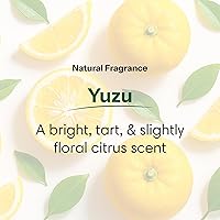 ShiKai Daily Moisturizing Shower Gel Yuzu 1 Gallon — image 3