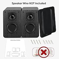 RIOWOIS DS6500M Passive Bookshelf Speakers — image 6
