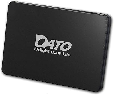 DATO DS700 512GB SSD