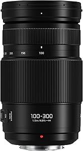 Panasonic LUMIX 100-300mm F4.0-5.6 Telephoto Lens Review