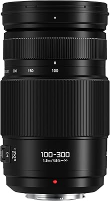 Panasonic LUMIX 100-300mm F4.0-5.6 Telephoto Lens