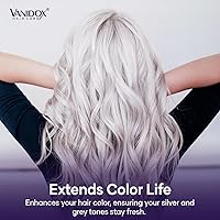 VANIDOX Sulfate Free Brass Toning Purple Shampoo and Conditioner Set (16 fl oz each) — image 6