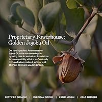 Ogee Complexion Perfecting Liquid Foundation - Acacia 12.25C — image 4