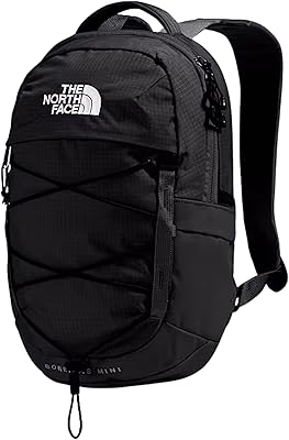 The North Face 10L Mini Borealis Backpack
