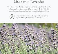 evanhealy Tea Tree Gel Cleanser 4oz — image 7