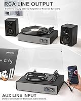 TANLANIN TE-2018BLK Vinyl Record Player — image 8
