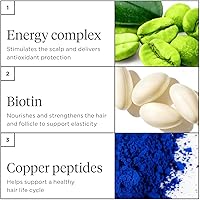 Briogeo Destined For Density Caffeine + Biotin Peptide Shampoo and Conditioner Set, 2 x 8 fl oz — image 8