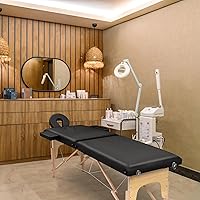 Paradmas Portable Massage Table — image 2