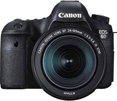 Canon EOS 6D DSLR Camera with EF 24-105mm f/3.5-5.6 IS STM Lens Kit