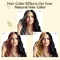 BOJICA Black Hair Dye Shampoo 3 in 1, 16.9 Fl Oz — image 2