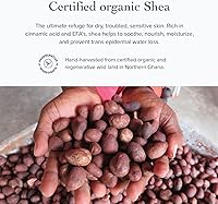 evanhealy Wild Carrot Immortelle Eye Balm 0.5oz — image 4