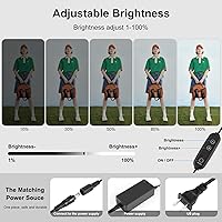 PULUZ Professional Large Photo Light Box Photography Studio 47″x31″x78″ — image 2