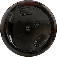 365 by Whole Foods Market Moisturizing Fractionated Coconut Oil, 16 Fl Oz — image 6