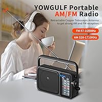 YOWGULF YG-BT2400B AM/FM Bluetooth Portable Radio — image 2
