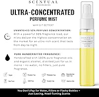 Scentual Fragrances Ultra-Concentrated Hair & Body Perfume Mist - Strawberry Clouds 4oz — image 4