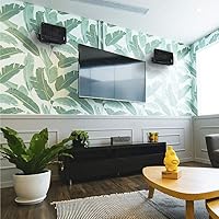 Kicker KB6 2-Way Outdoor Speakers — image 8