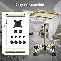 LWADALN Salon Tray, Champagne Gold — image 8