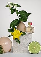 Valentino Voce Viva Eau de Parfum 3.4oz — image 6