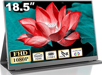 CUIUIC 18.5-inch Portable Monitor