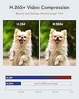 ANNKE 16 Channel Security Camera System with 2TB HDD — image 4