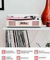DANFI AUDIO DF TE-2017 Vinyl Record Player — image 4