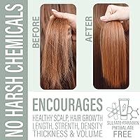 Luxiny Tea Tree Mint Shampoo and Conditioner Bar Set — image 5