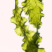 ANNEMARIE BÖRLIND System Absolute Regenerating Night Cream 1.69oz — image 6