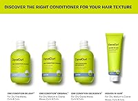 DevaCurl One Condition Original Rich Cream Conditioner 12oz — image 5