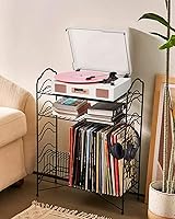 DANFI AUDIO DF TE-2017 Vinyl Record Player — image 9