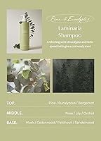 Laferme Laminaria Shampoo, 16.9oz, Pine Eucalyptus — image 6